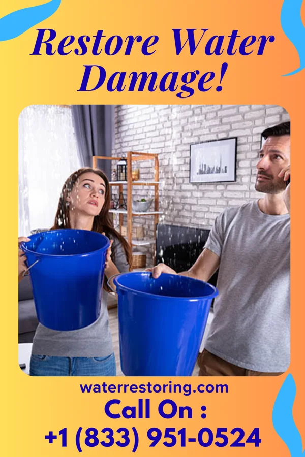 water restoration Vigilant Storm Damage & Associates Kennedy