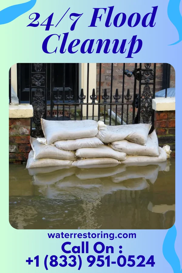 24/7 Flood Cleanup in Kennedy, MN