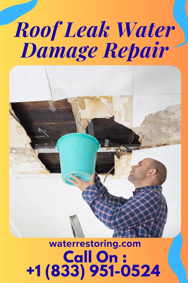 Roof Leak Water Damage Repair in Kennedy, MN
