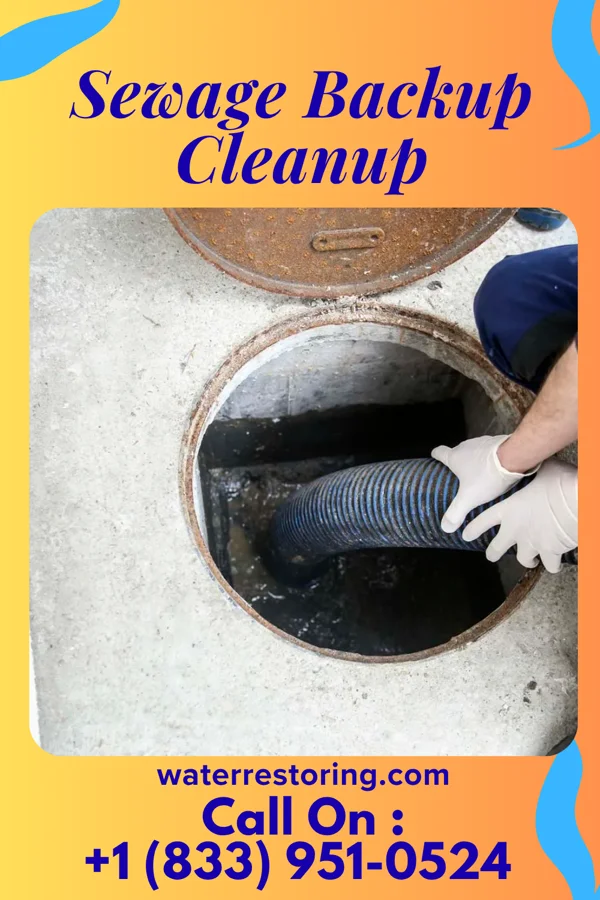 Sewage Backup Cleanup in Kennedy, MN
