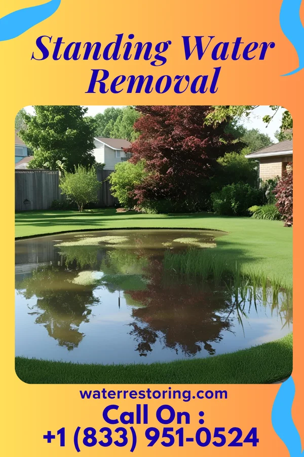 Standing Water Removal in Kennedy, MN